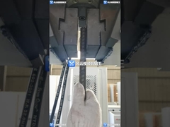 Оптовая цена для универсалии сервопривода WAW-300B машины Electro гидравлической испытывая